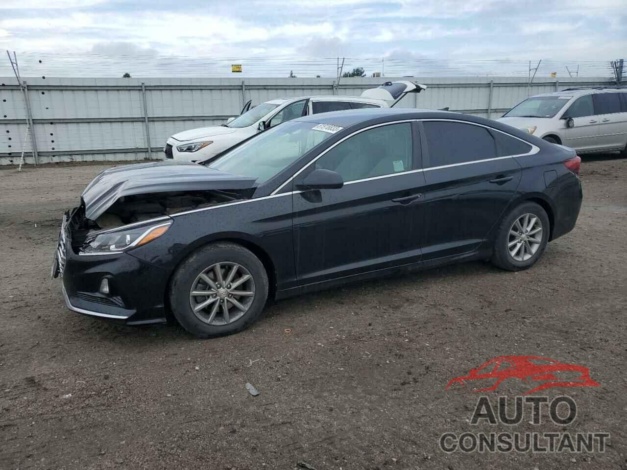 HYUNDAI SONATA 2019 - 5NPE24AF4KH736150