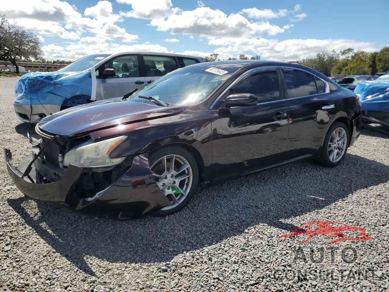 NISSAN MAXIMA 2011 - 1N4AA5AP3BC815827