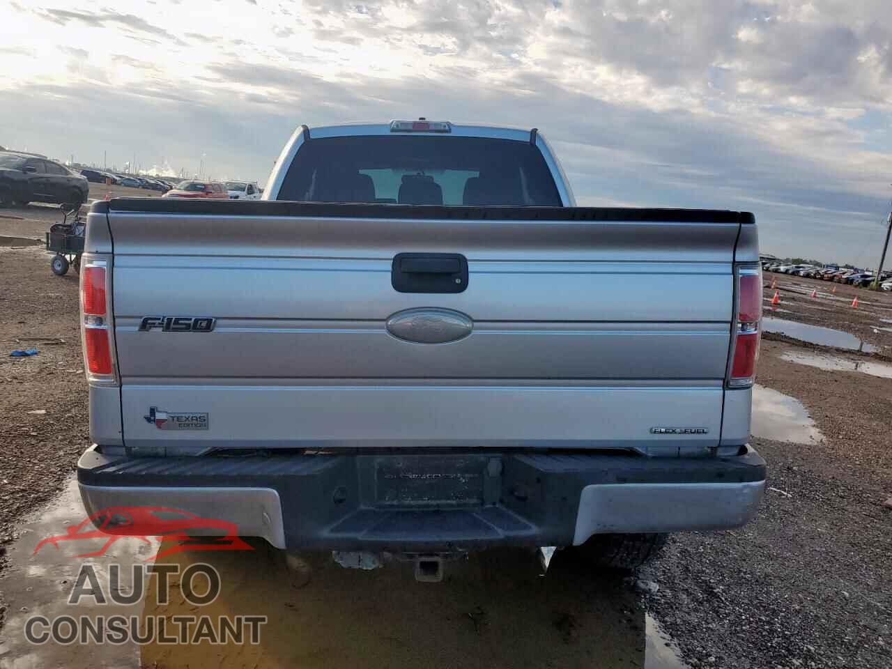 FORD F-150 2011 - 1FTFX1CF3BFD38231