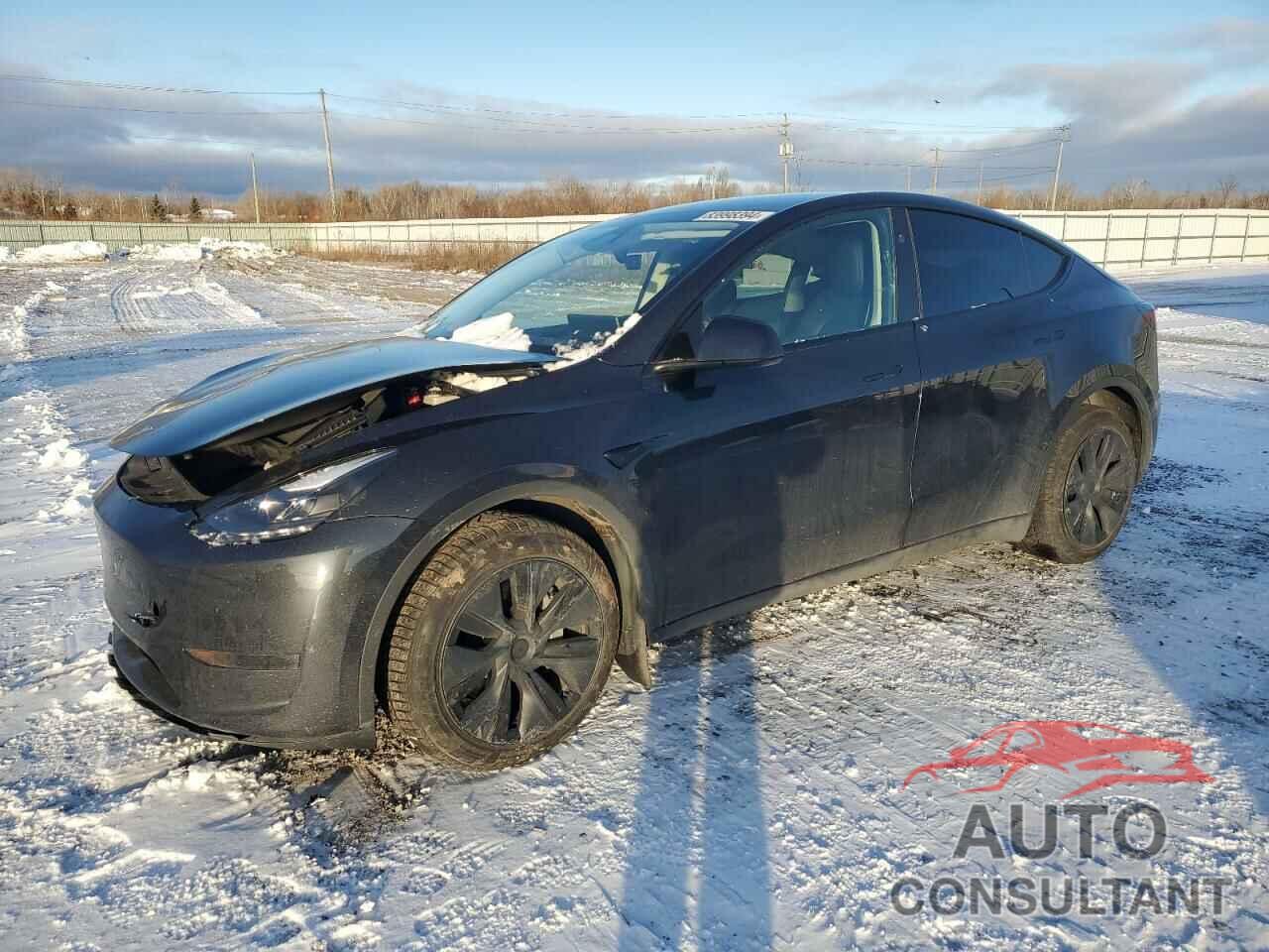 TESLA MODEL Y 2024 - 7SAYGDED5RF016181