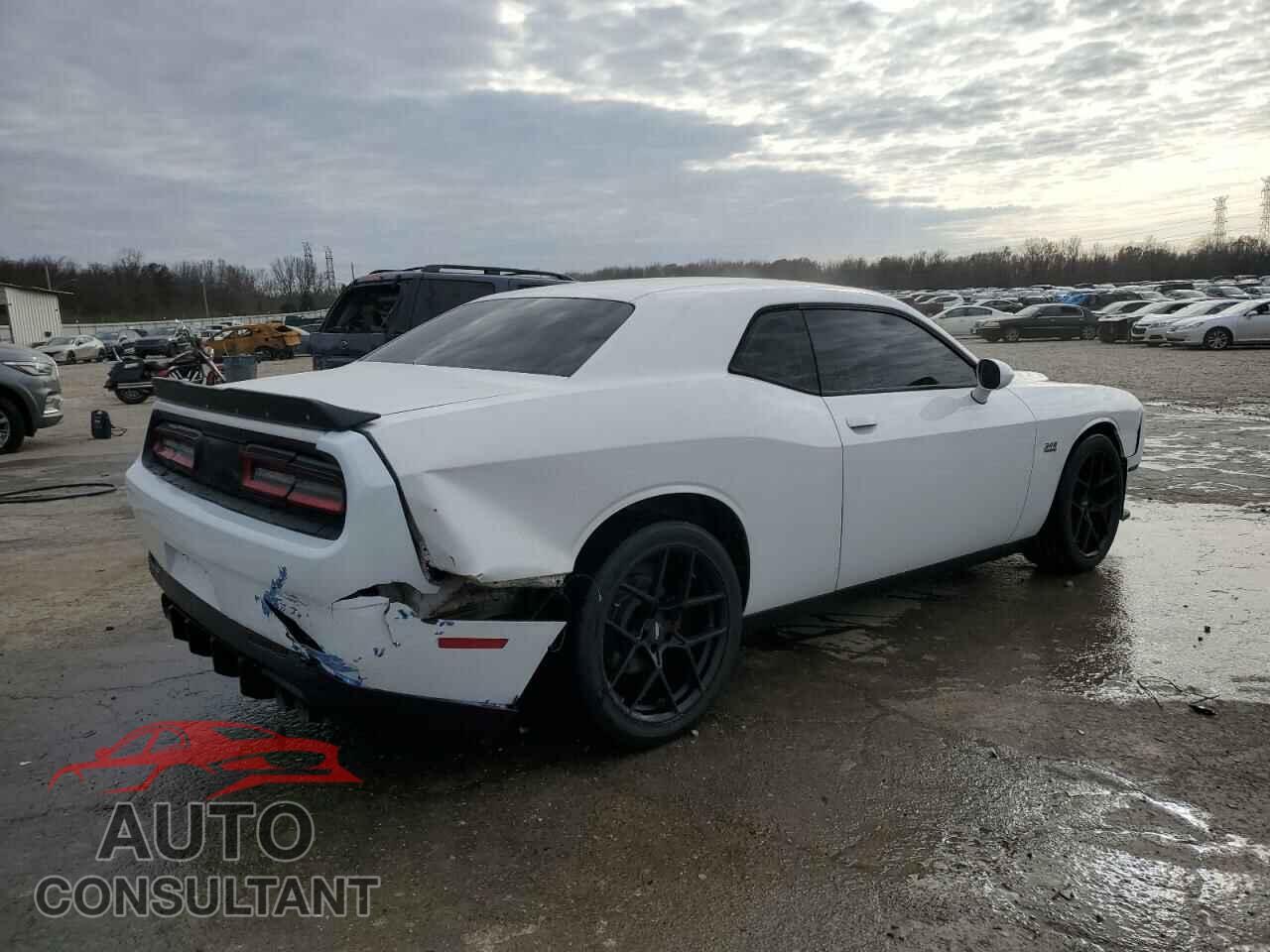 DODGE CHALLENGER 2017 - 2C3CDZBT2HH655902