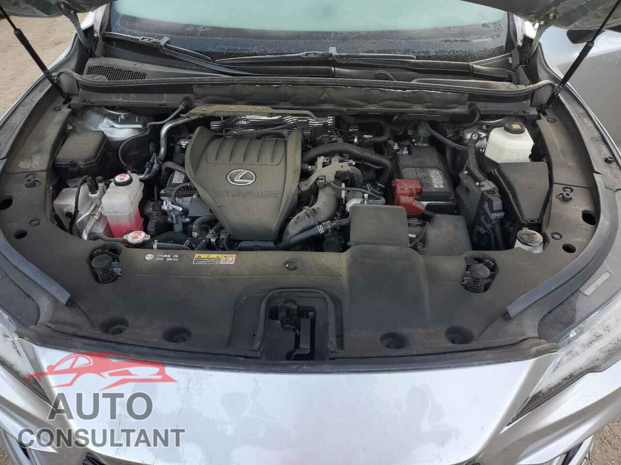 LEXUS RX350 2024 - 2T2BAMCA7RC437011