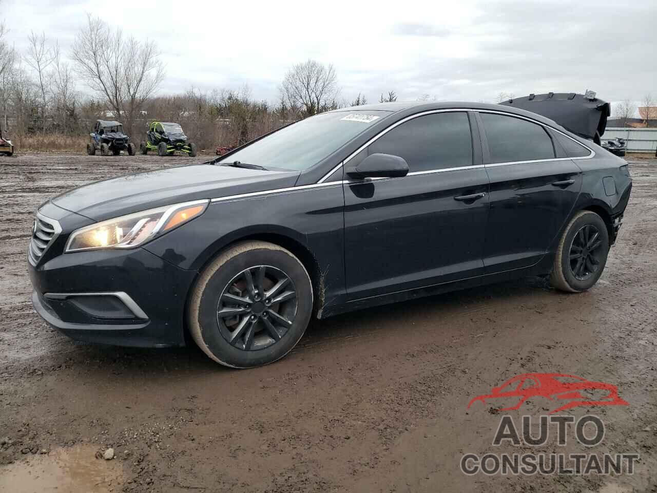 HYUNDAI SONATA 2016 - 5NPE24AF3GH338175