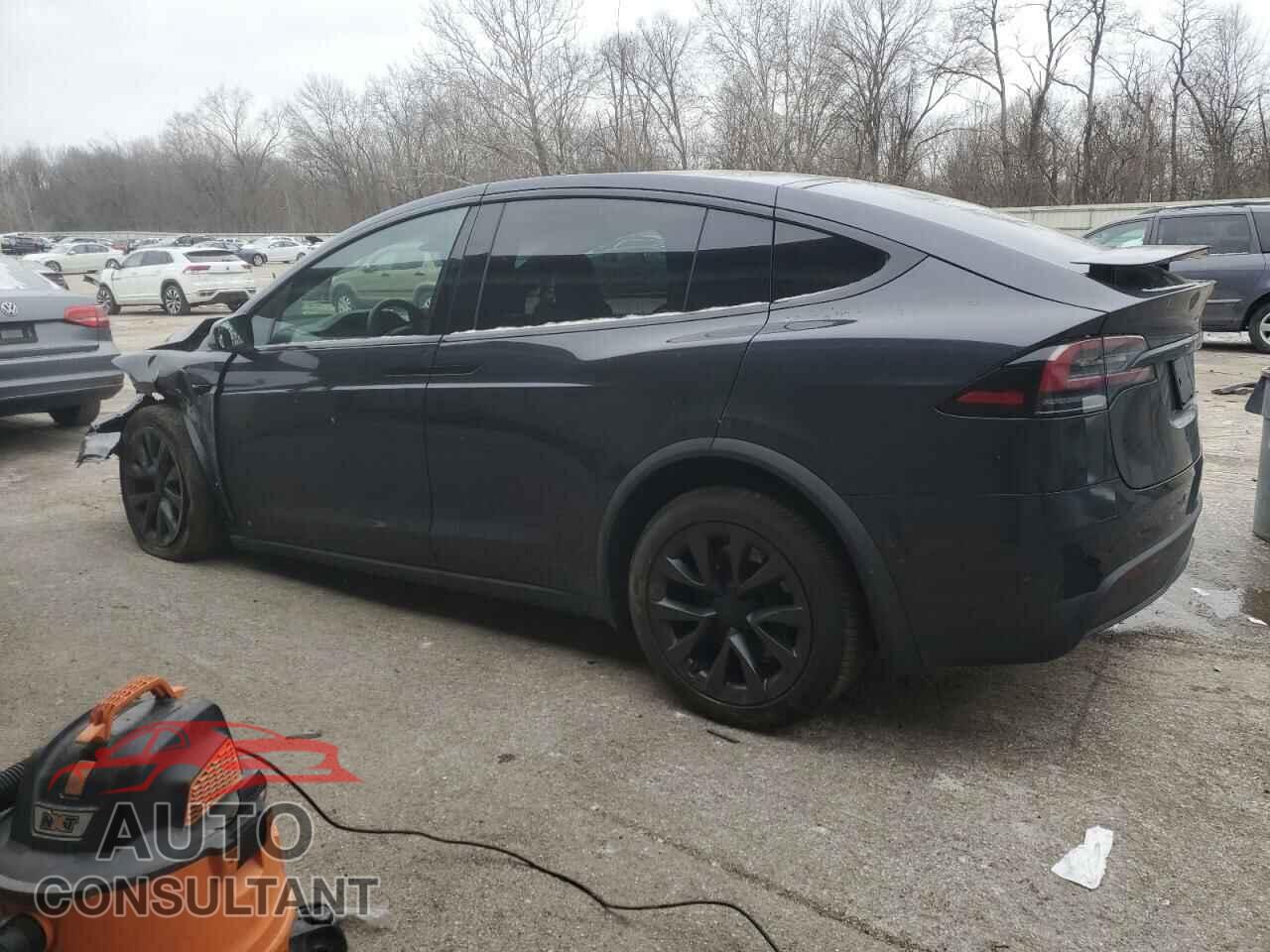 TESLA MODEL X 2024 - 7SAXCDE55RF449676