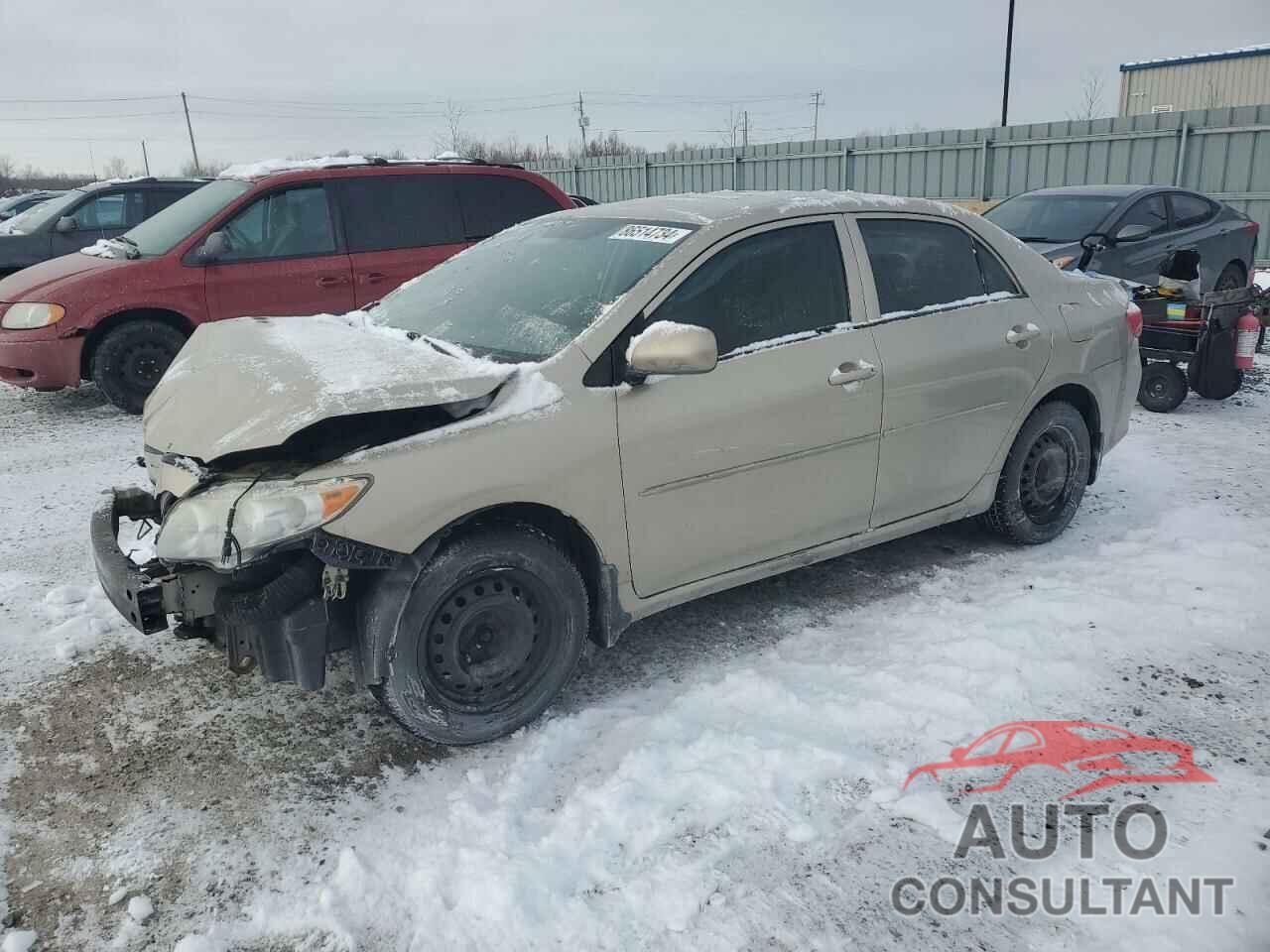TOYOTA COROLLA 2010 - 2T1BU4EE0AC419837