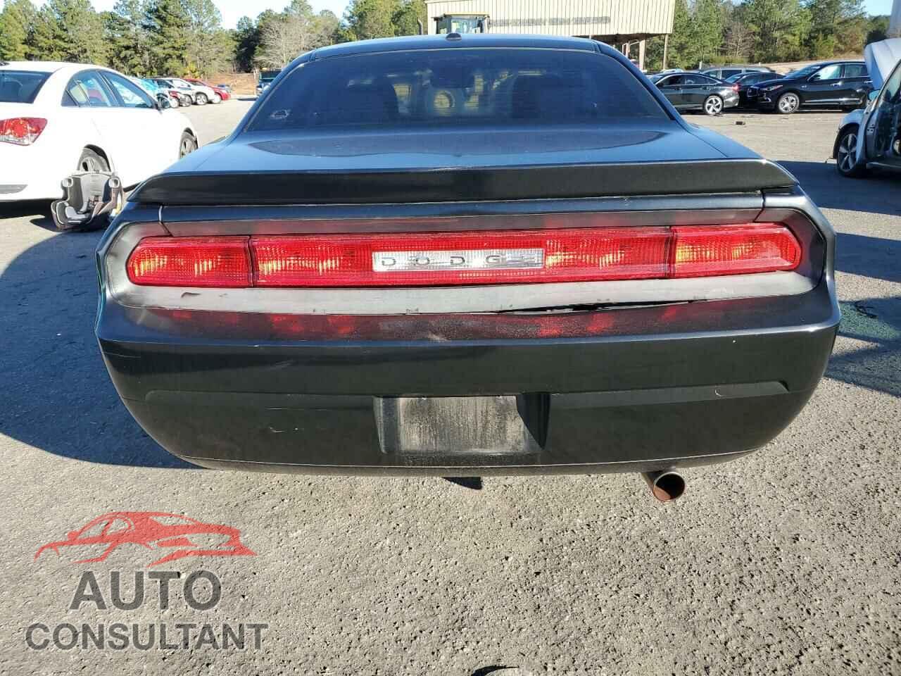DODGE CHALLENGER 2010 - 2B3CJ4DV1AH208488