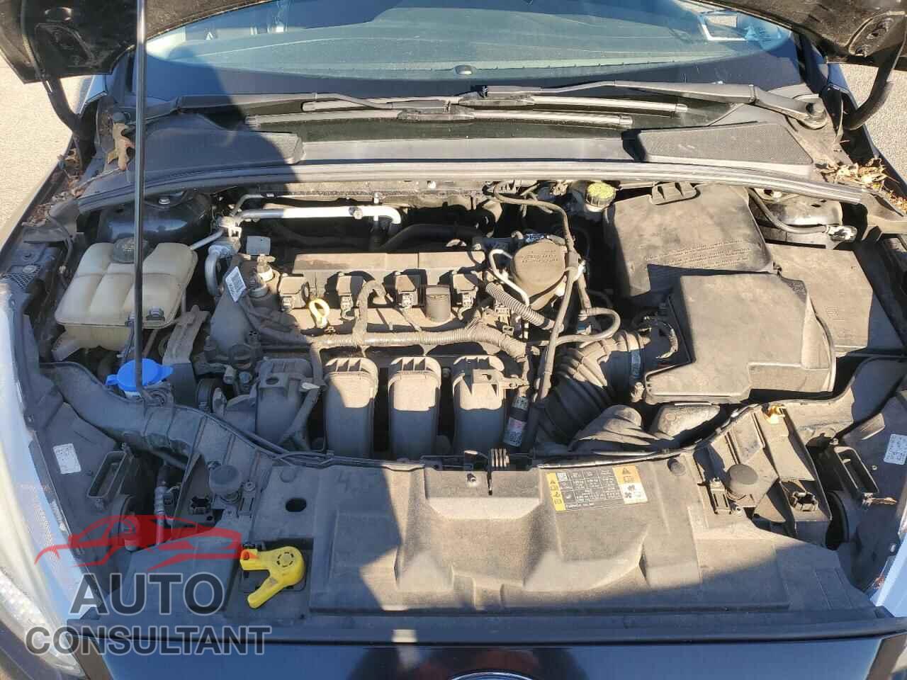 FORD FOCUS 2016 - 1FADP3F28GL240371