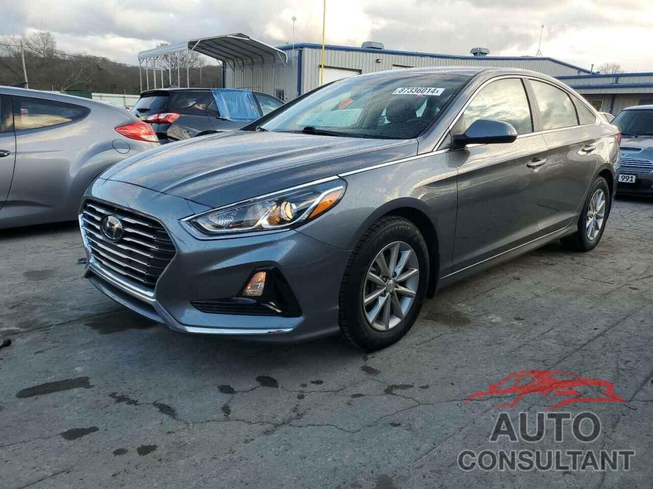 HYUNDAI SONATA 2019 - 5NPE24AF0KH803505