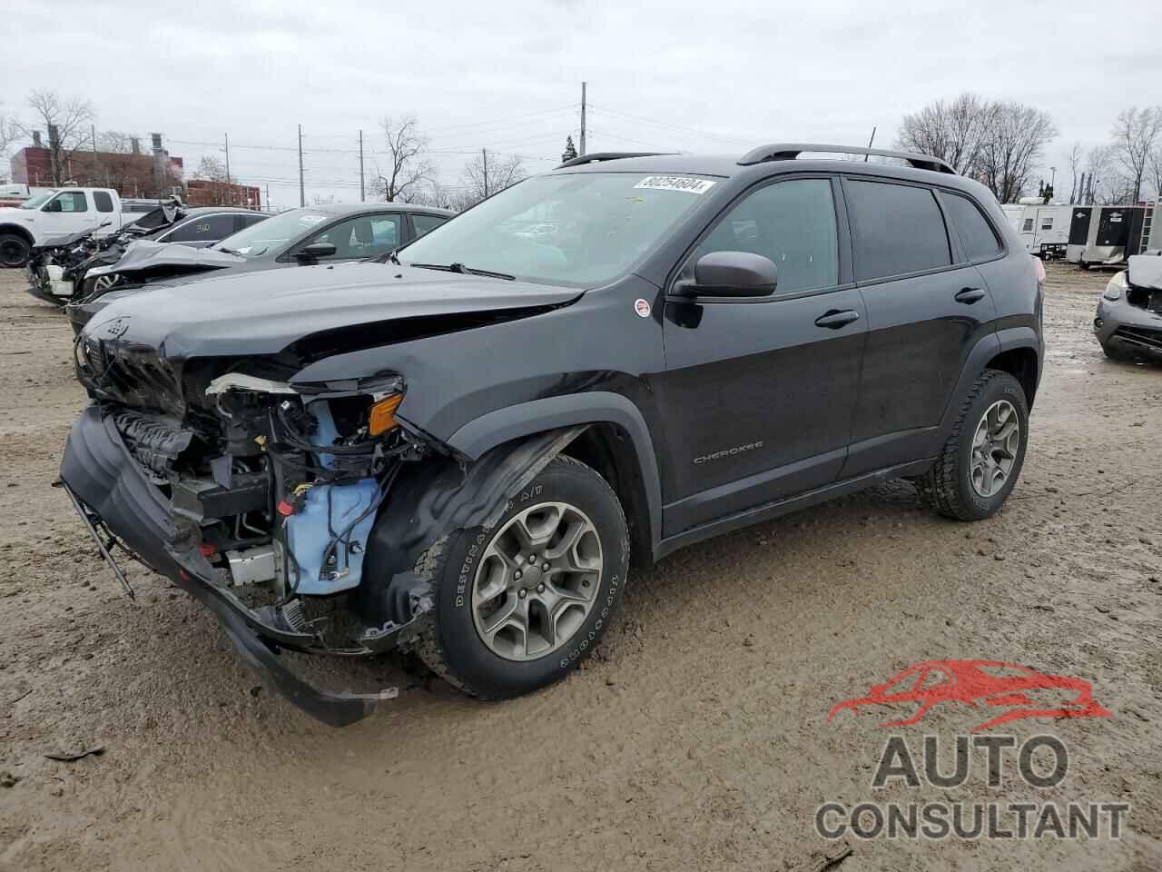 JEEP CHEROKEE 2020 - 1C4PJMBX6LD566464