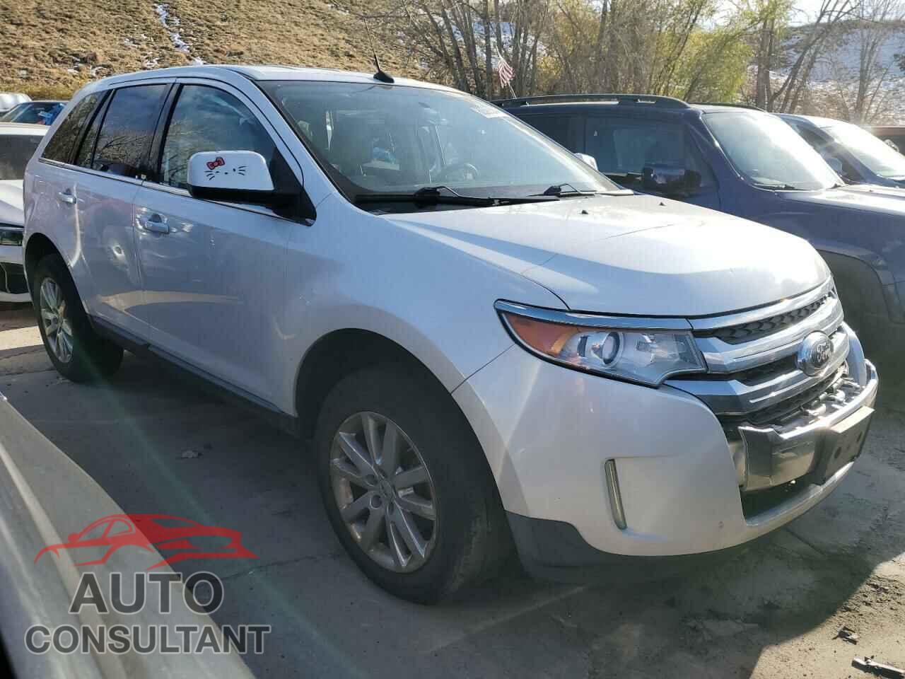 FORD EDGE 2011 - 2FMDK4KCXBBA78454