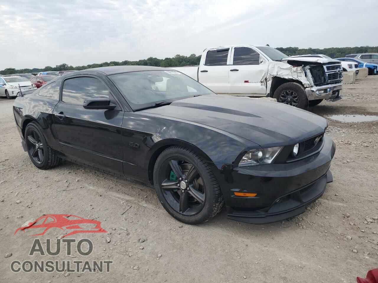 FORD MUSTANG 2011 - 1ZVBP8CF3B5105900