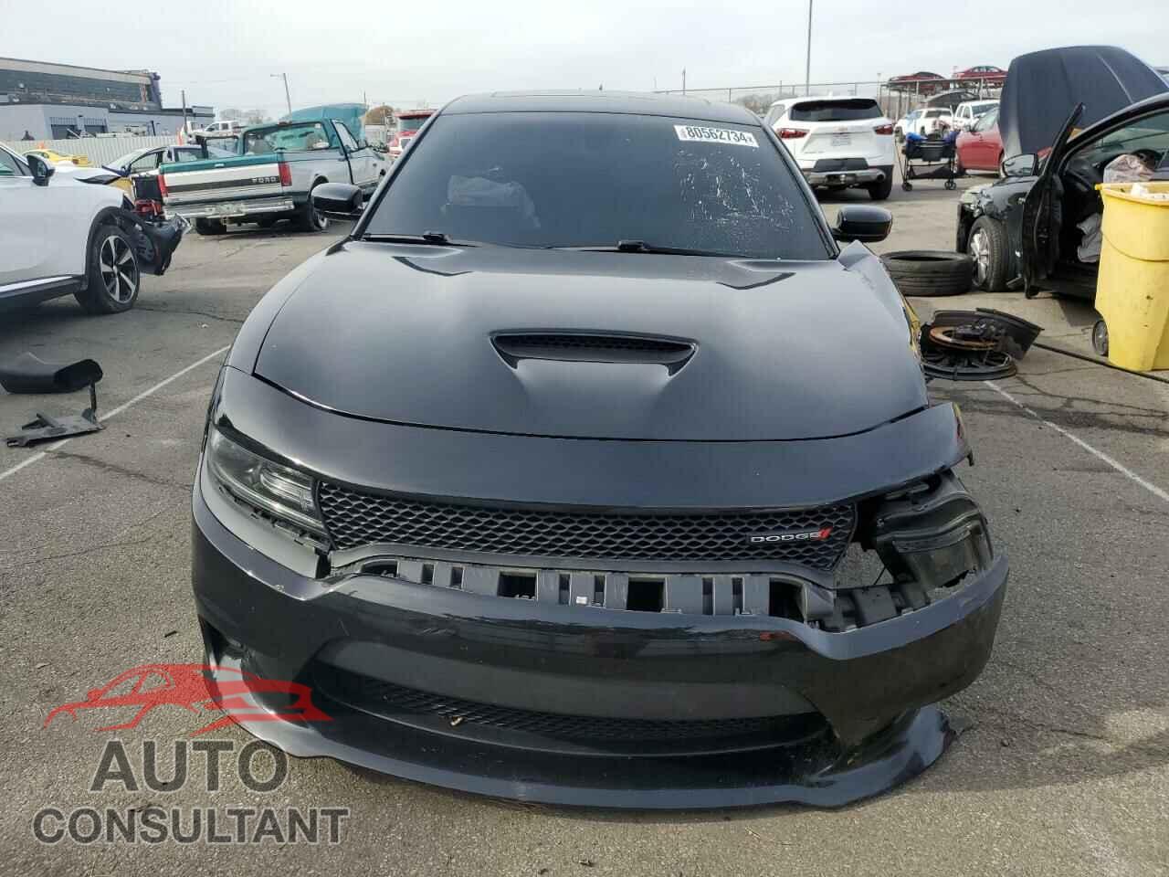 DODGE CHARGER 2019 - 2C3CDXCTXKH607459