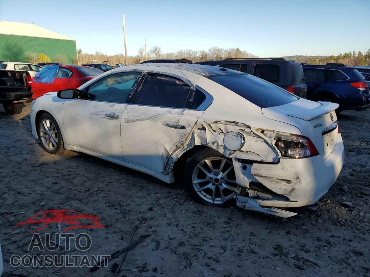 NISSAN MAXIMA 2011 - 1N4AA5AP6BC829558