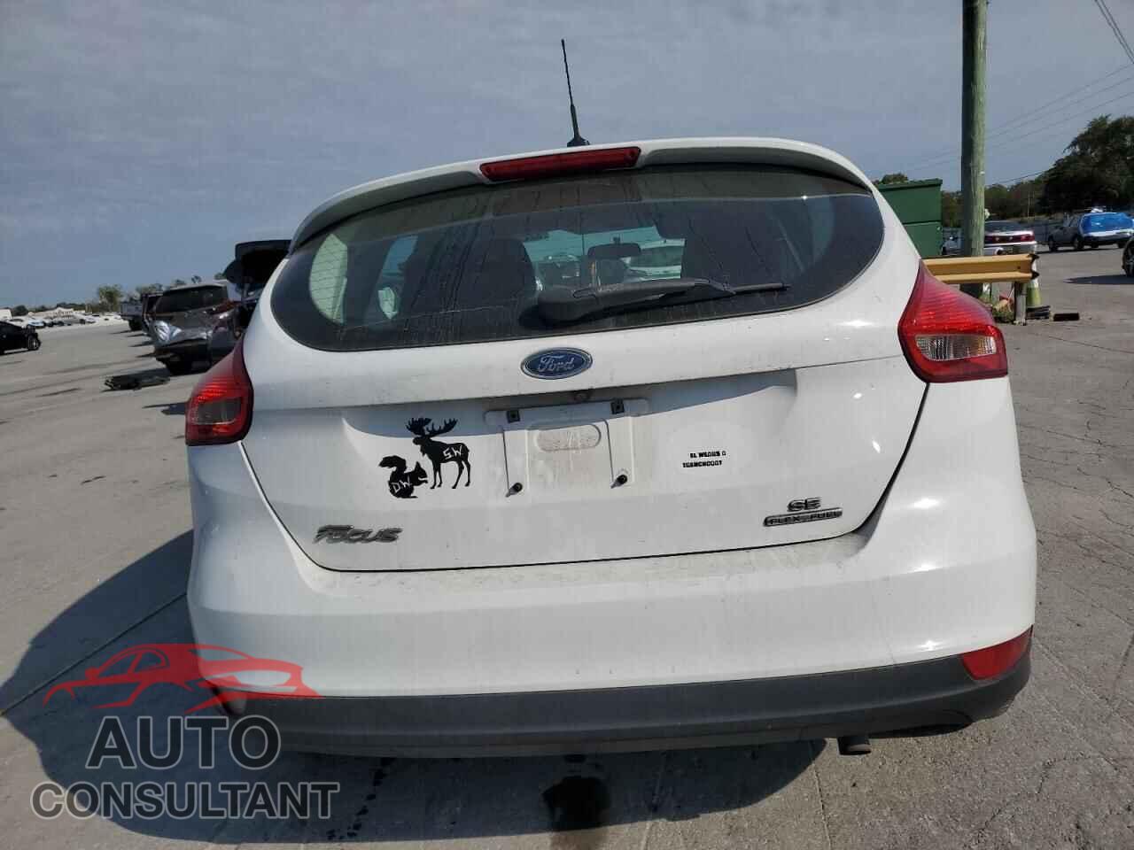 FORD FOCUS 2016 - 1FADP3K29GL281162