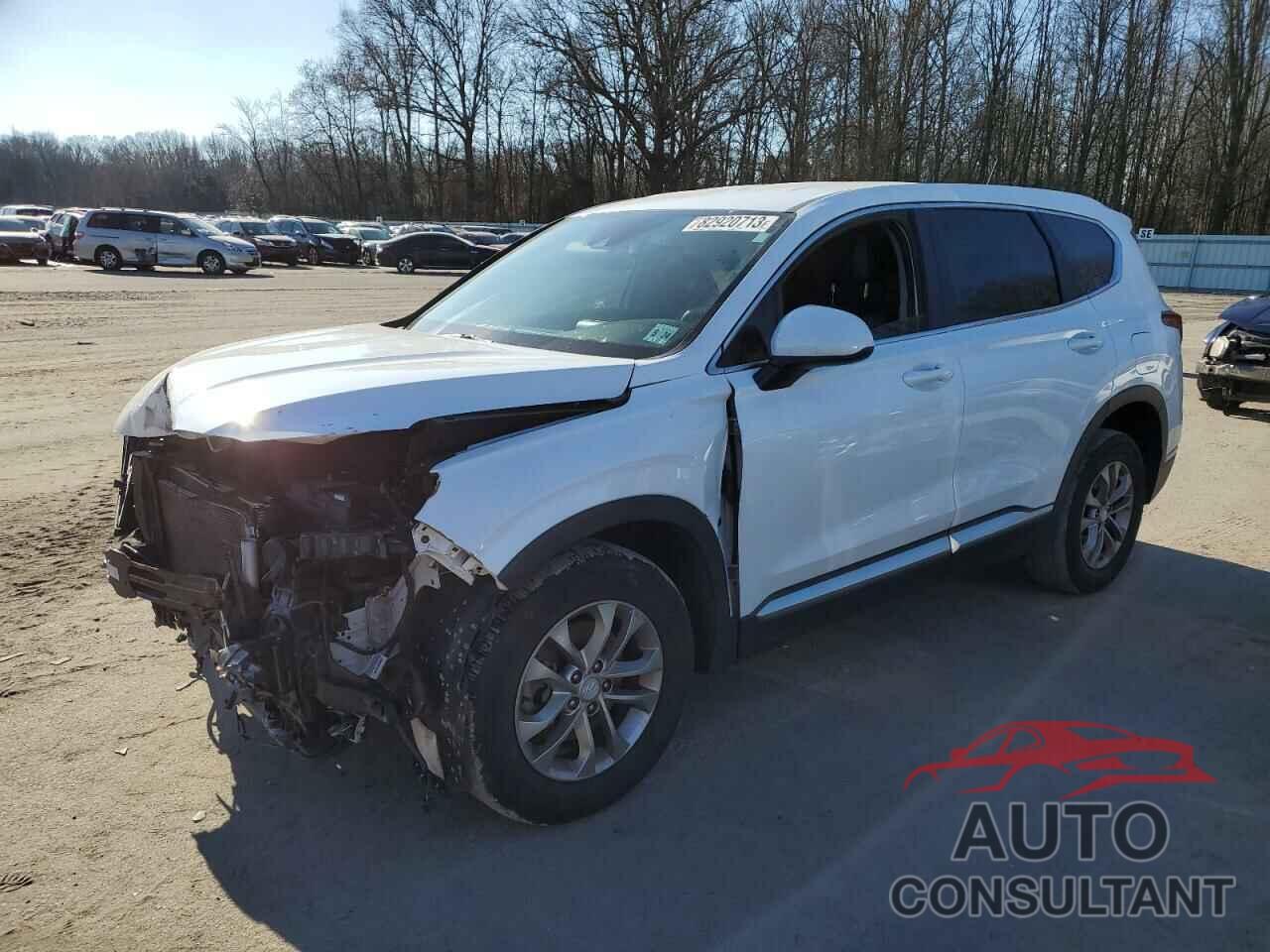 HYUNDAI SANTA FE 2019 - 5NMS2CAD5KH115380