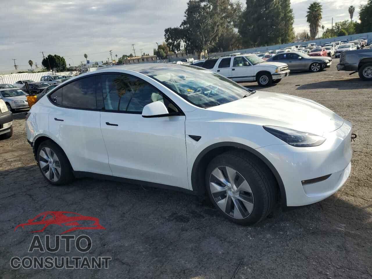 TESLA MODEL Y 2023 - 7SAYGDEE2PF834070