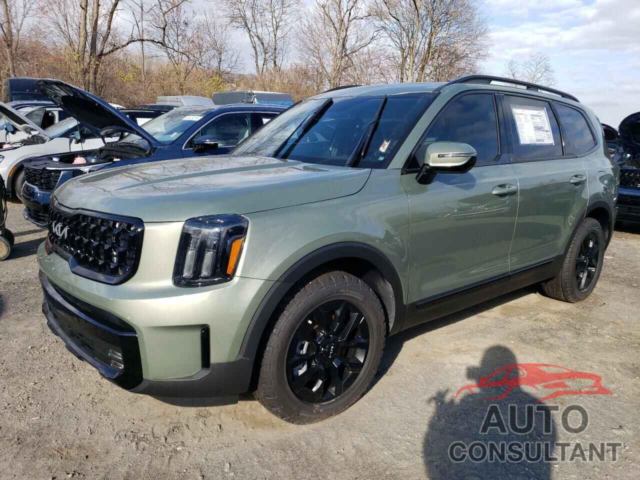KIA TELLURIDE 2024 - 5XYP5DGC0RG452206