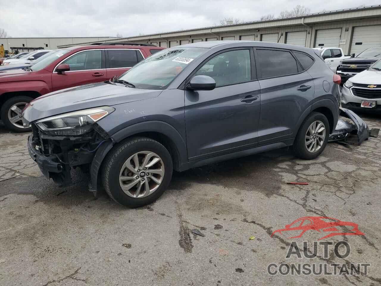 HYUNDAI TUCSON 2016 - KM8J23A42GU227366