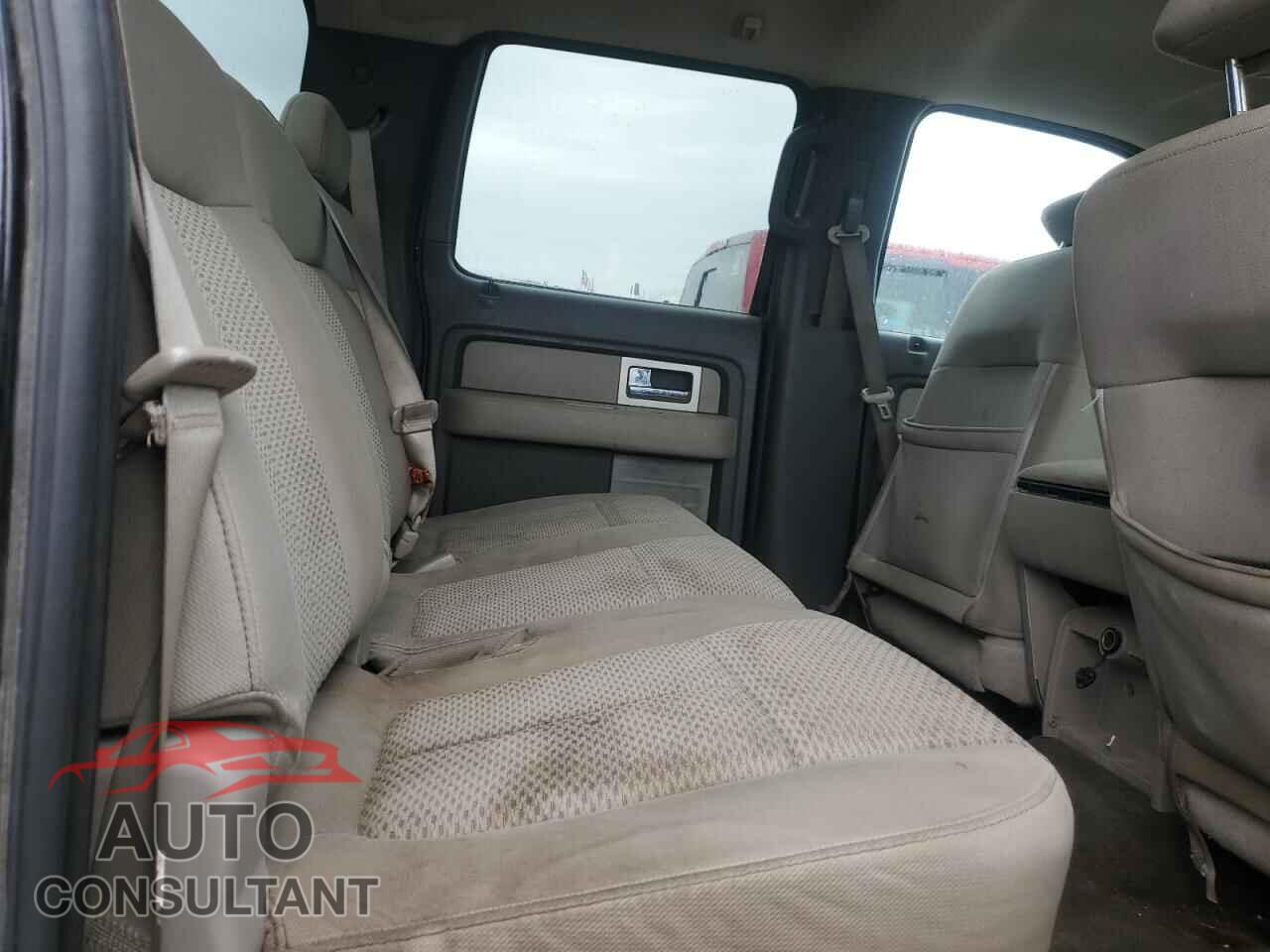 FORD F-150 2009 - 1FTRW14829FA65695