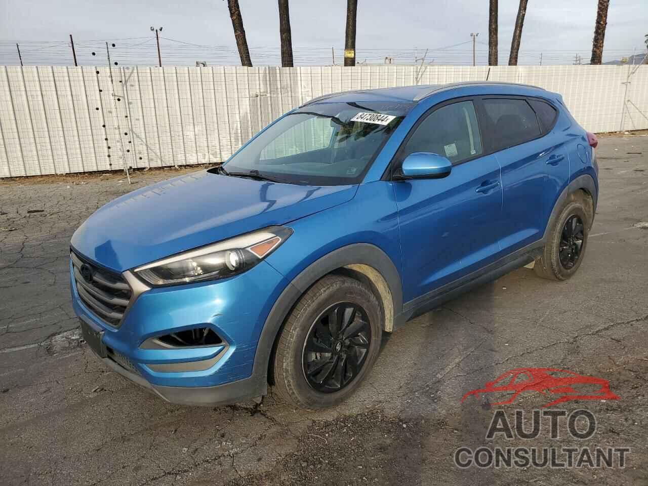 HYUNDAI TUCSON 2016 - KM8J33A43GU114572