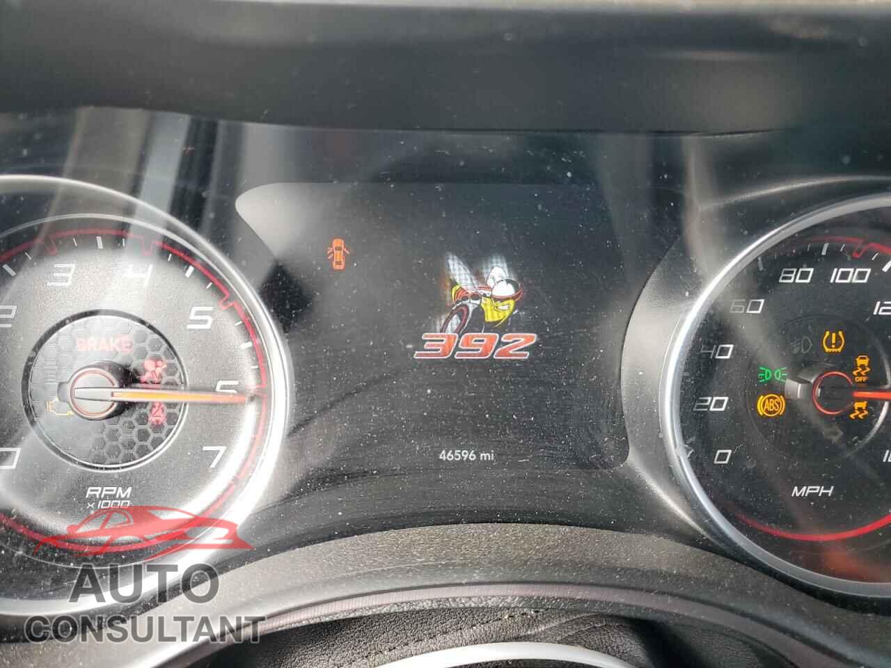 DODGE CHARGER 2019 - 2C3CDXGJ5KH717893
