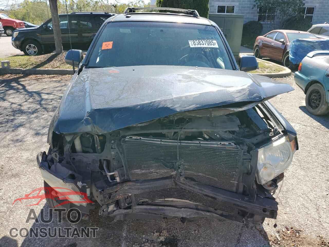 FORD ESCAPE 2009 - 1FMCU04G79KC85124