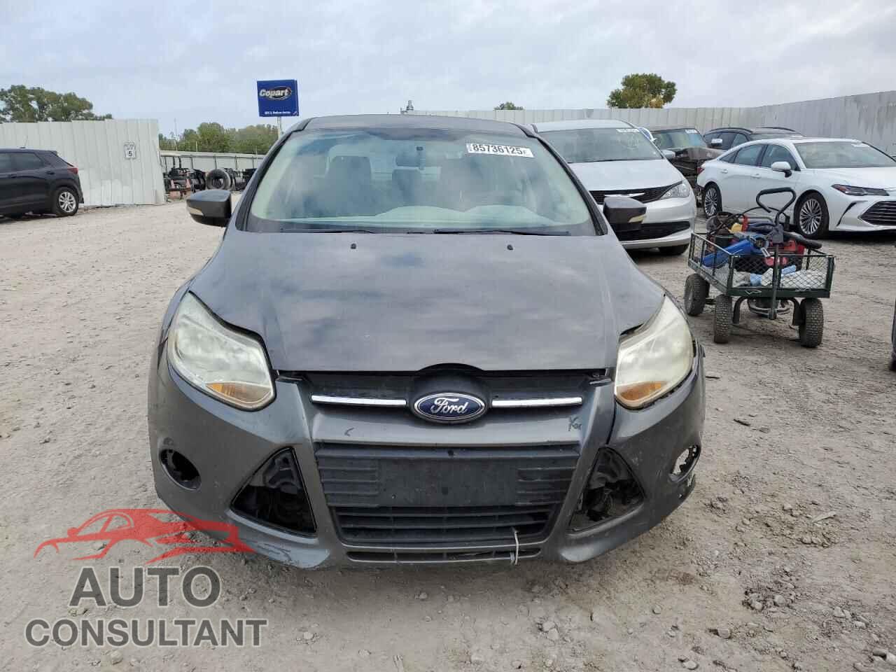 FORD FOCUS 2013 - 1FADP3F26DL324751