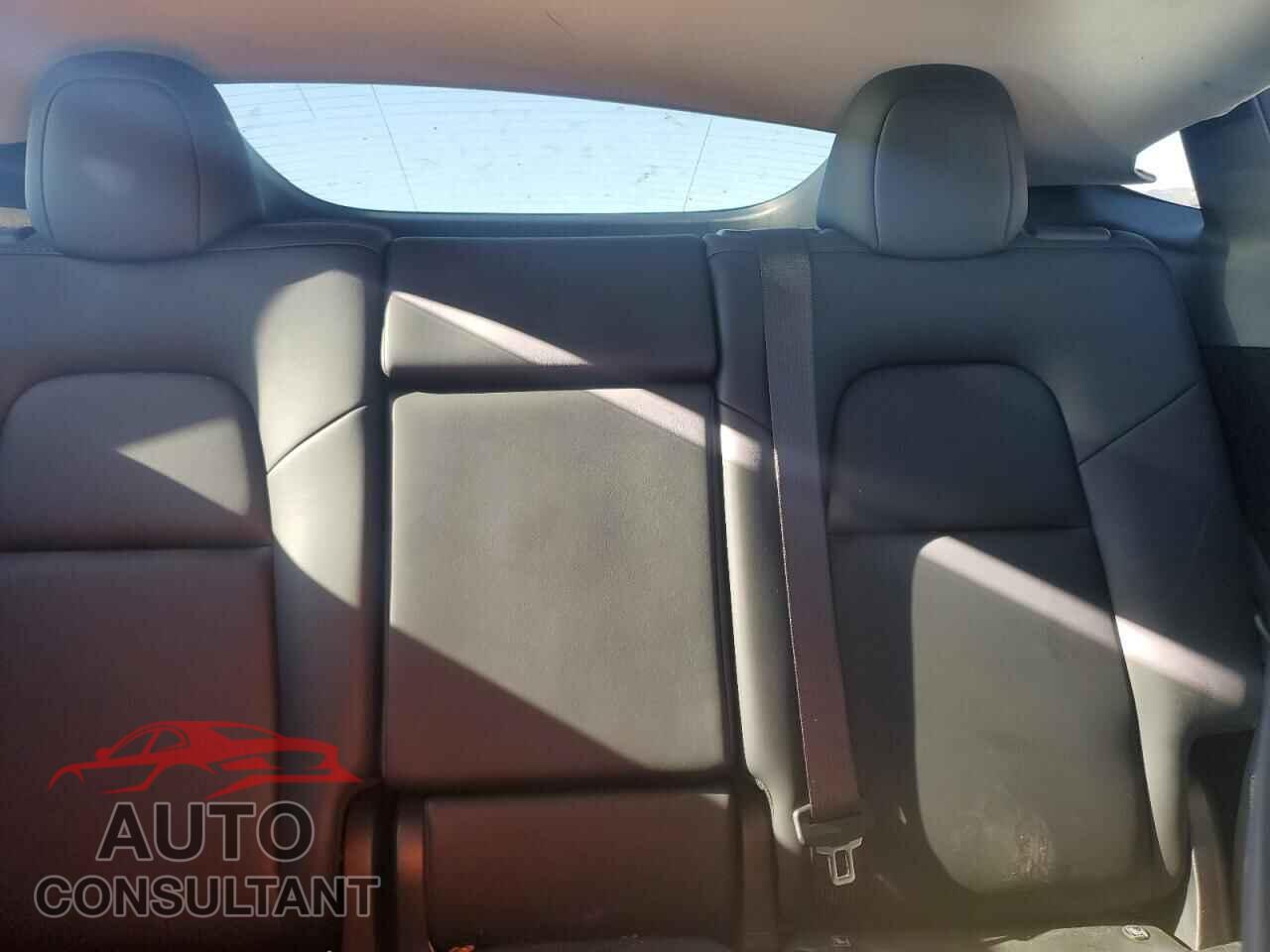 TESLA MODEL Y 2024 - 7SAYGDEE3RF031934