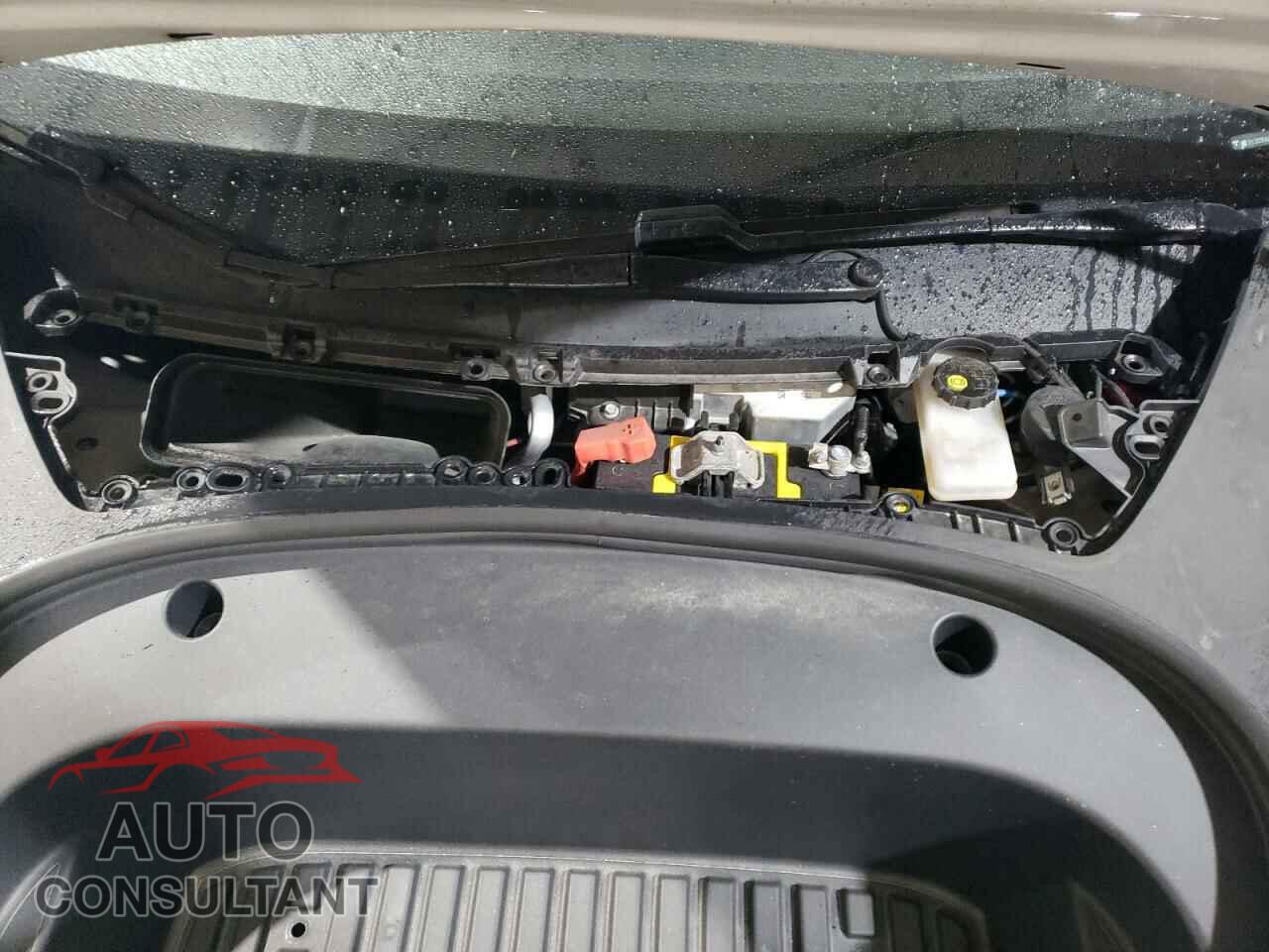 TESLA MODEL 3 2019 - 5YJ3E1EA3KF397147