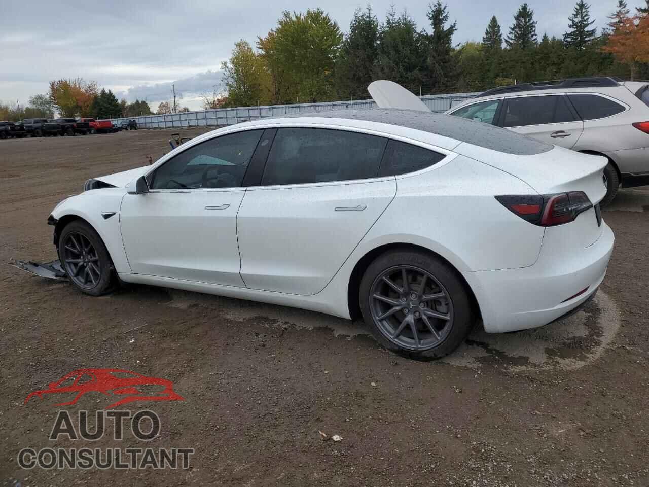 TESLA MODEL 3 2019 - 5YJ3E1EB8KF482042