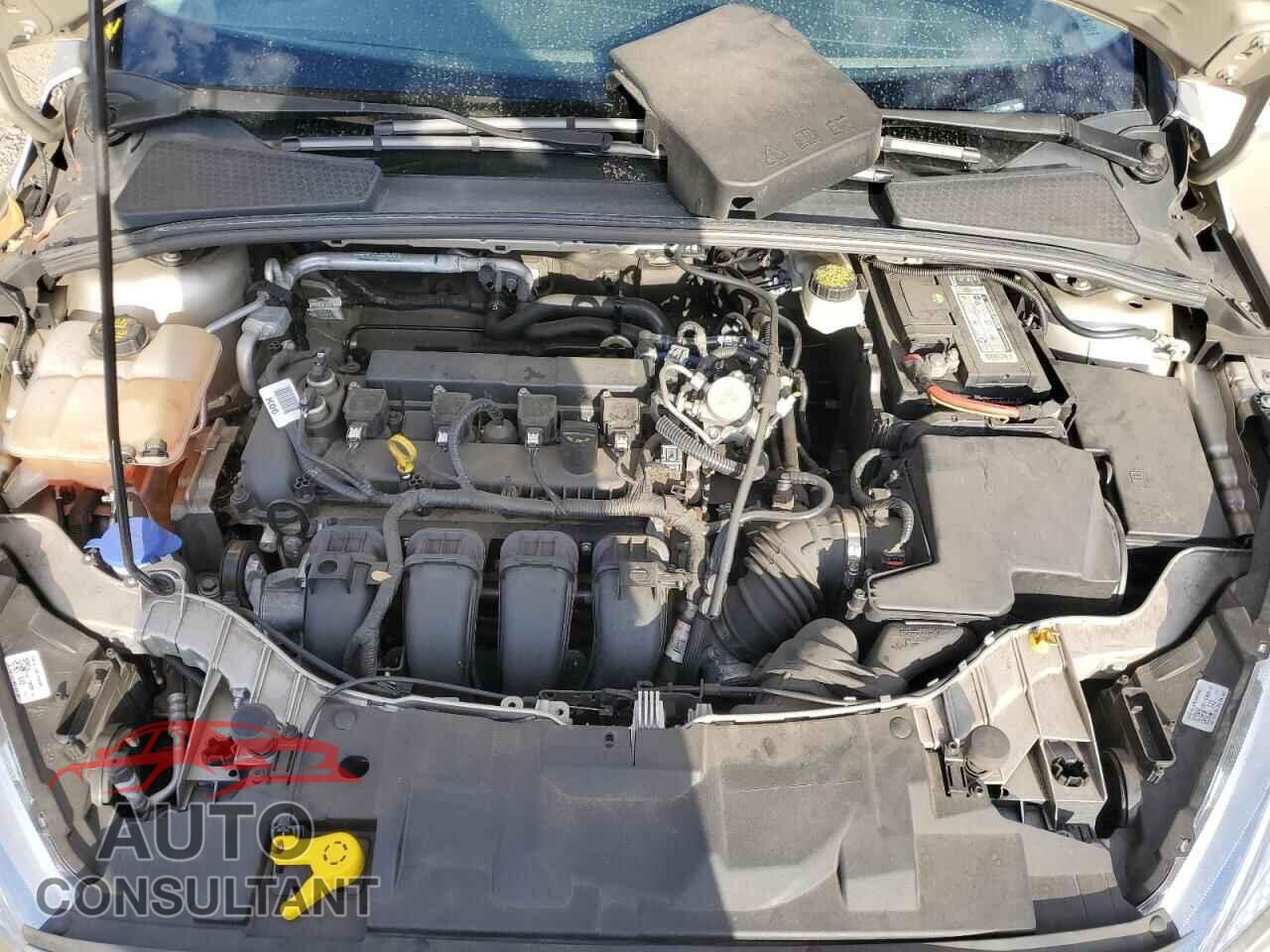 FORD FOCUS 2017 - 1FADP3F26HL218886
