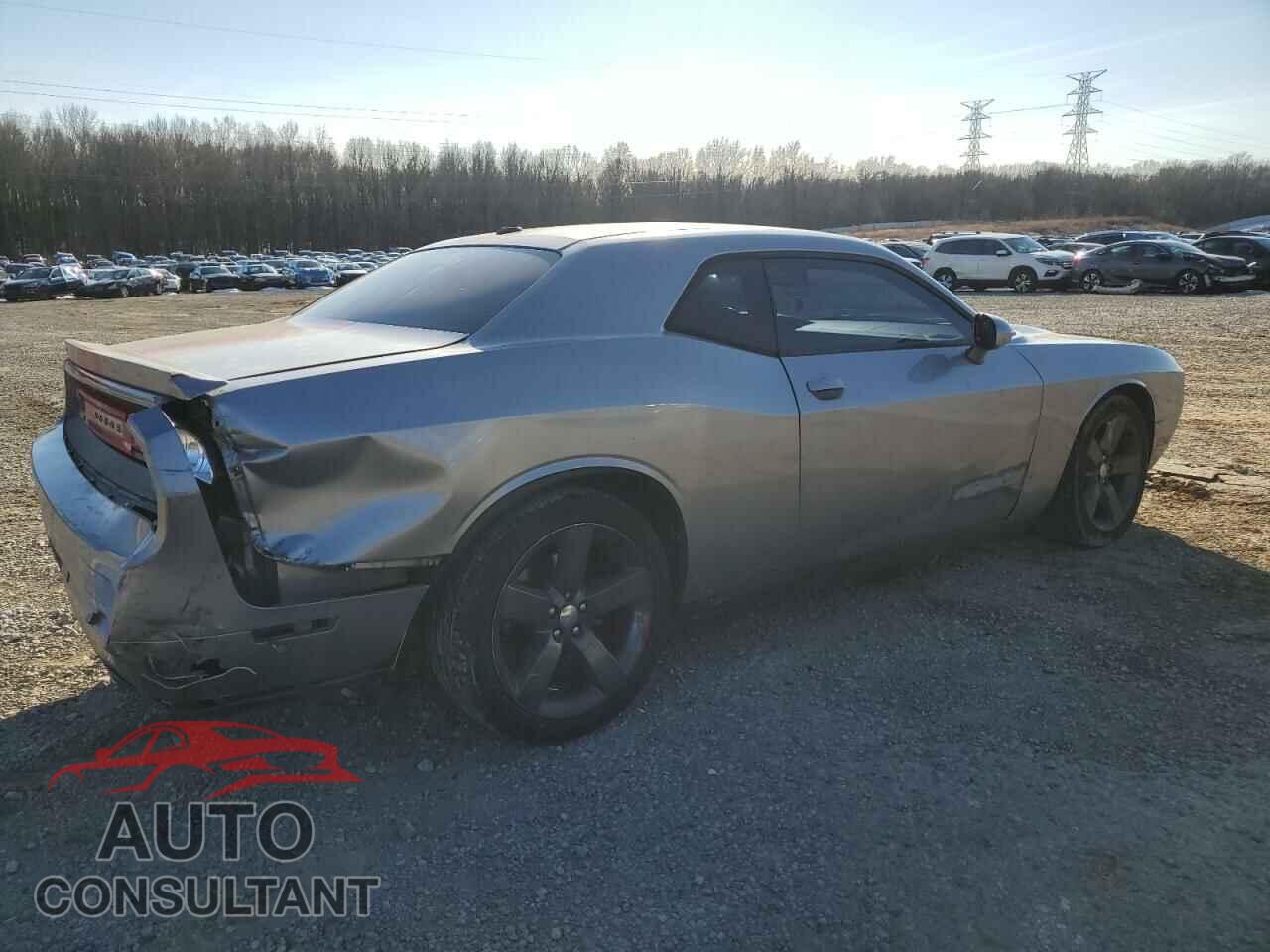 DODGE CHALLENGER 2013 - 2C3CDYAG9DH653590