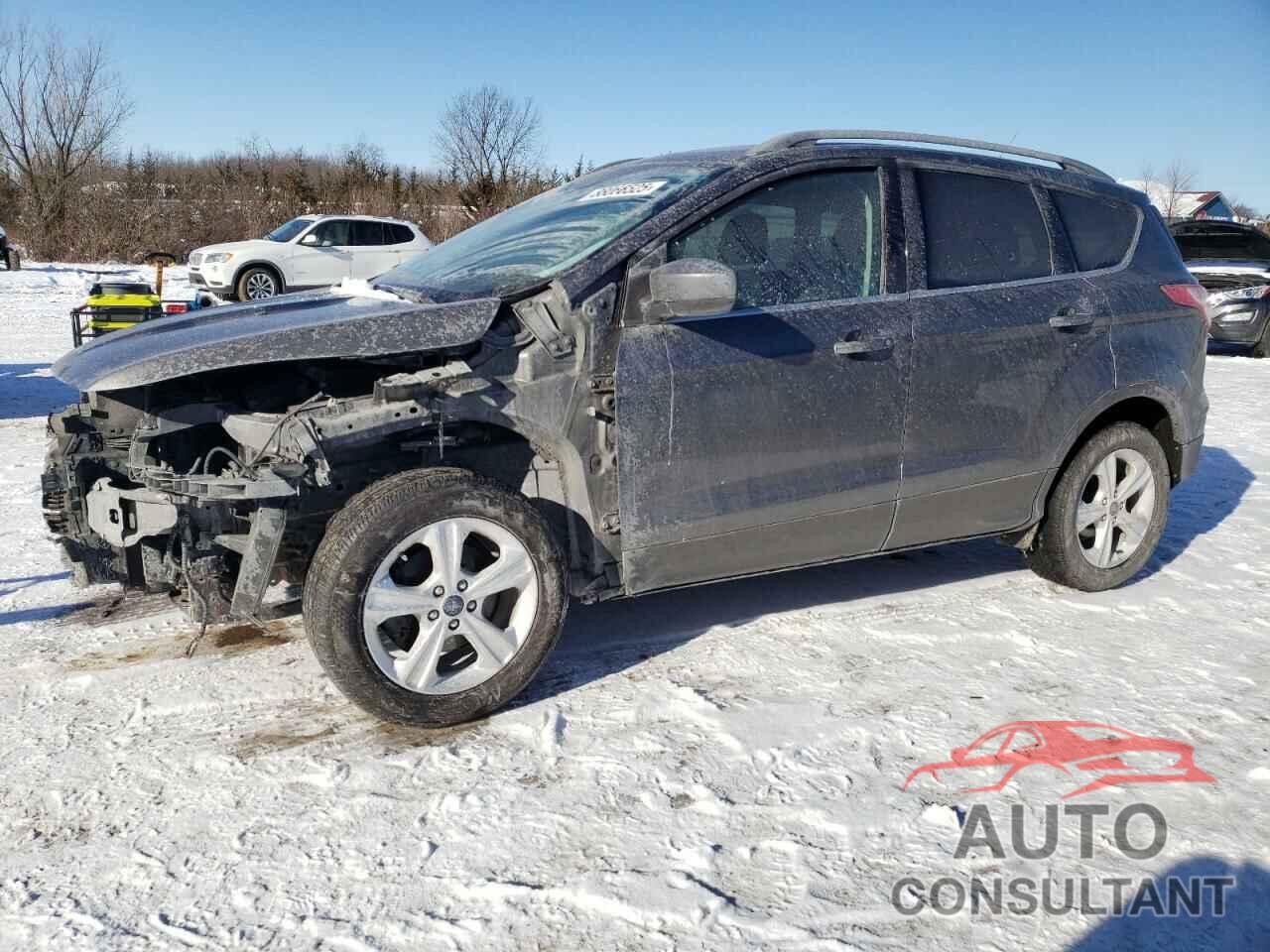 FORD ESCAPE 2014 - 1FMCU0GXXEUA37606