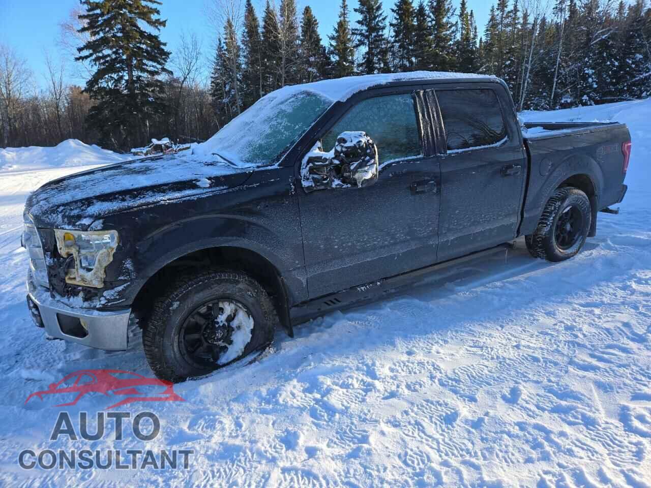 FORD F-150 2015 - 1FTEW1E83FFC62819