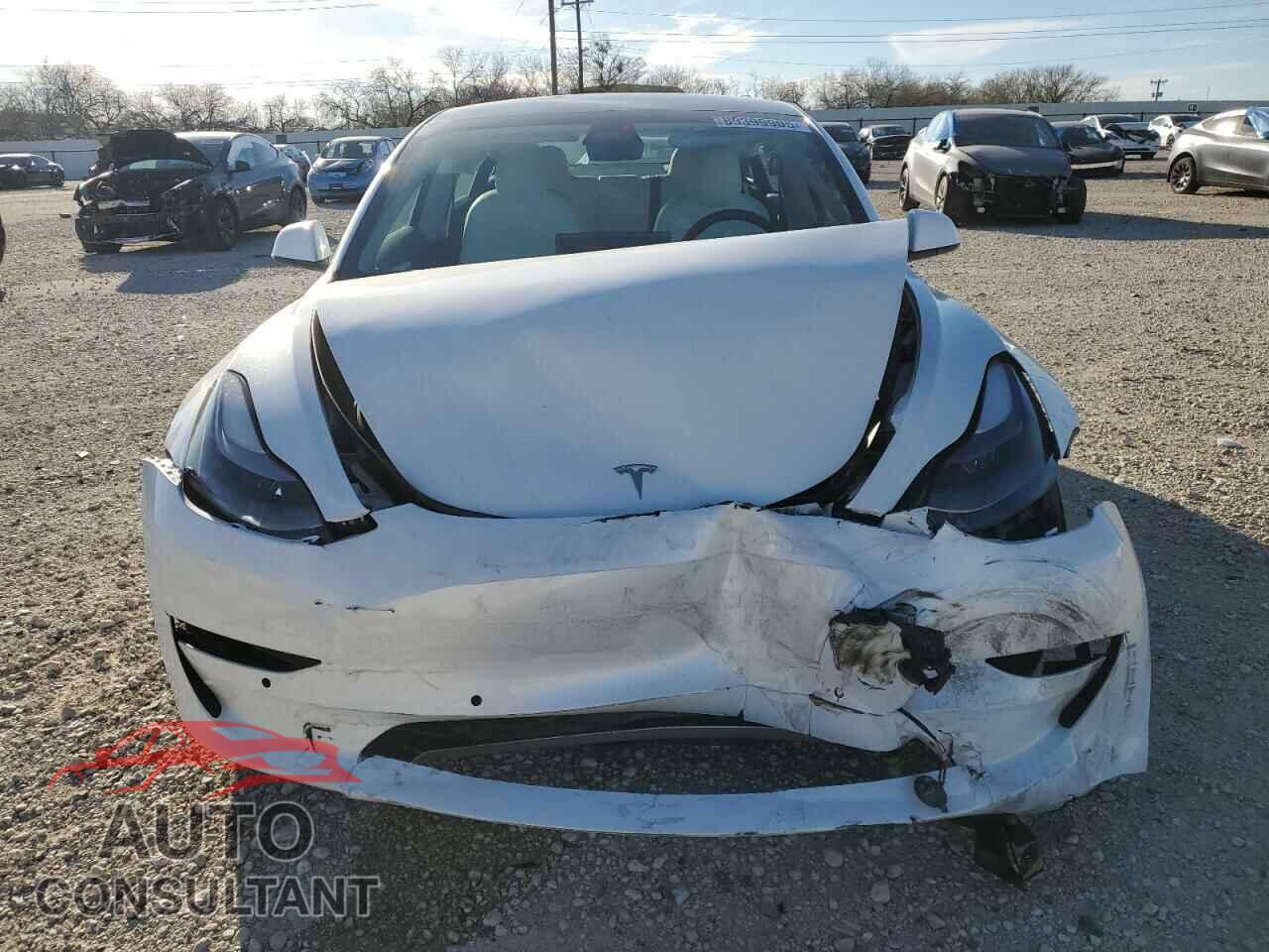 TESLA MODEL 3 2021 - 5YJ3E1EA4MF066659