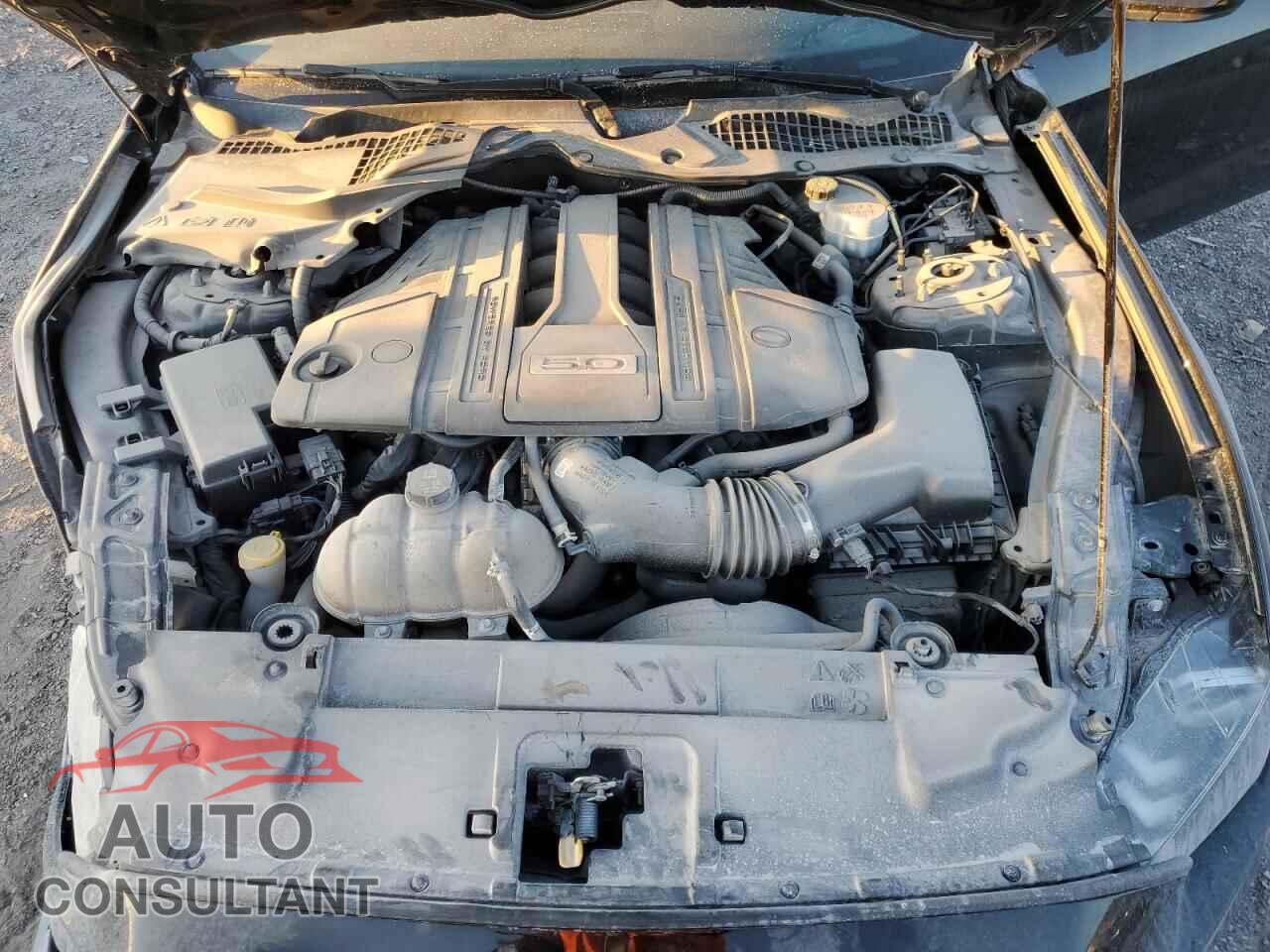FORD MUSTANG 2020 - 1FA6P8CF0L5105879