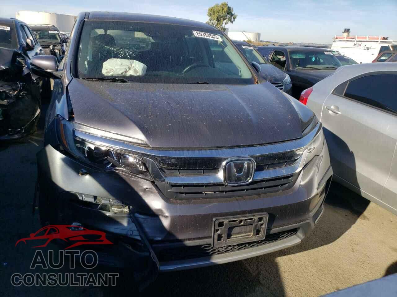 HONDA PILOT 2019 - 5FNYF6H55KB043466
