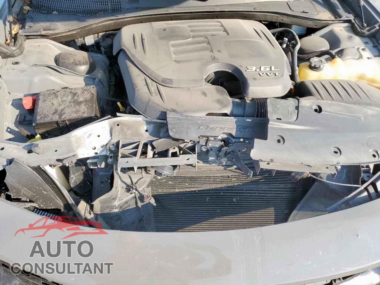 DODGE CHARGER 2019 - 2C3CDXBGXKH511013