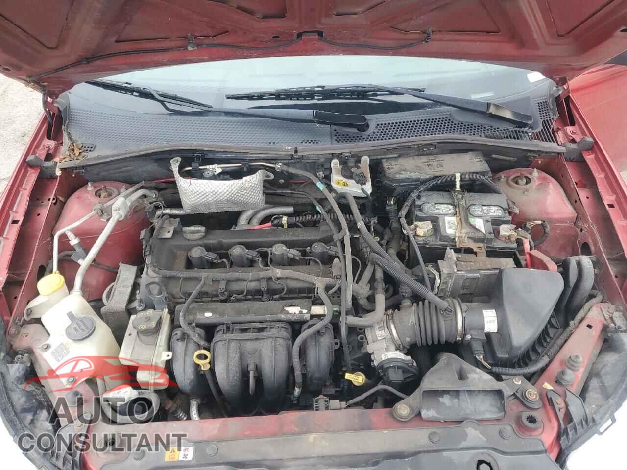 FORD FOCUS 2011 - 1FAHP3FN7BW200964