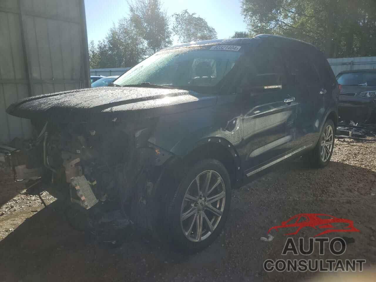 FORD EXPLORER 2016 - 1FM5K8F83GGA27718