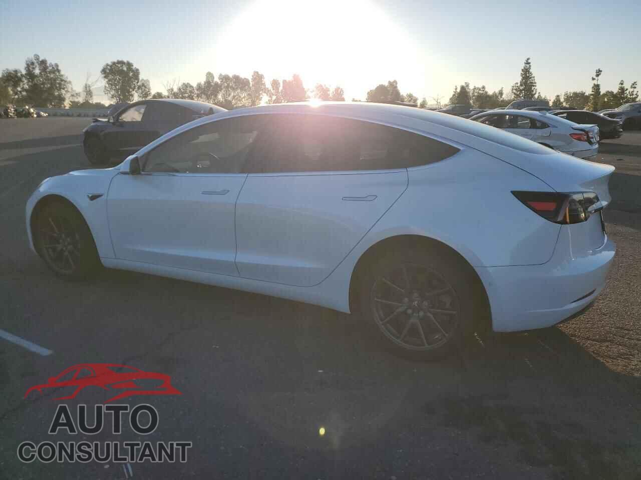 TESLA MODEL 3 2019 - 5YJ3E1EA9KF345067