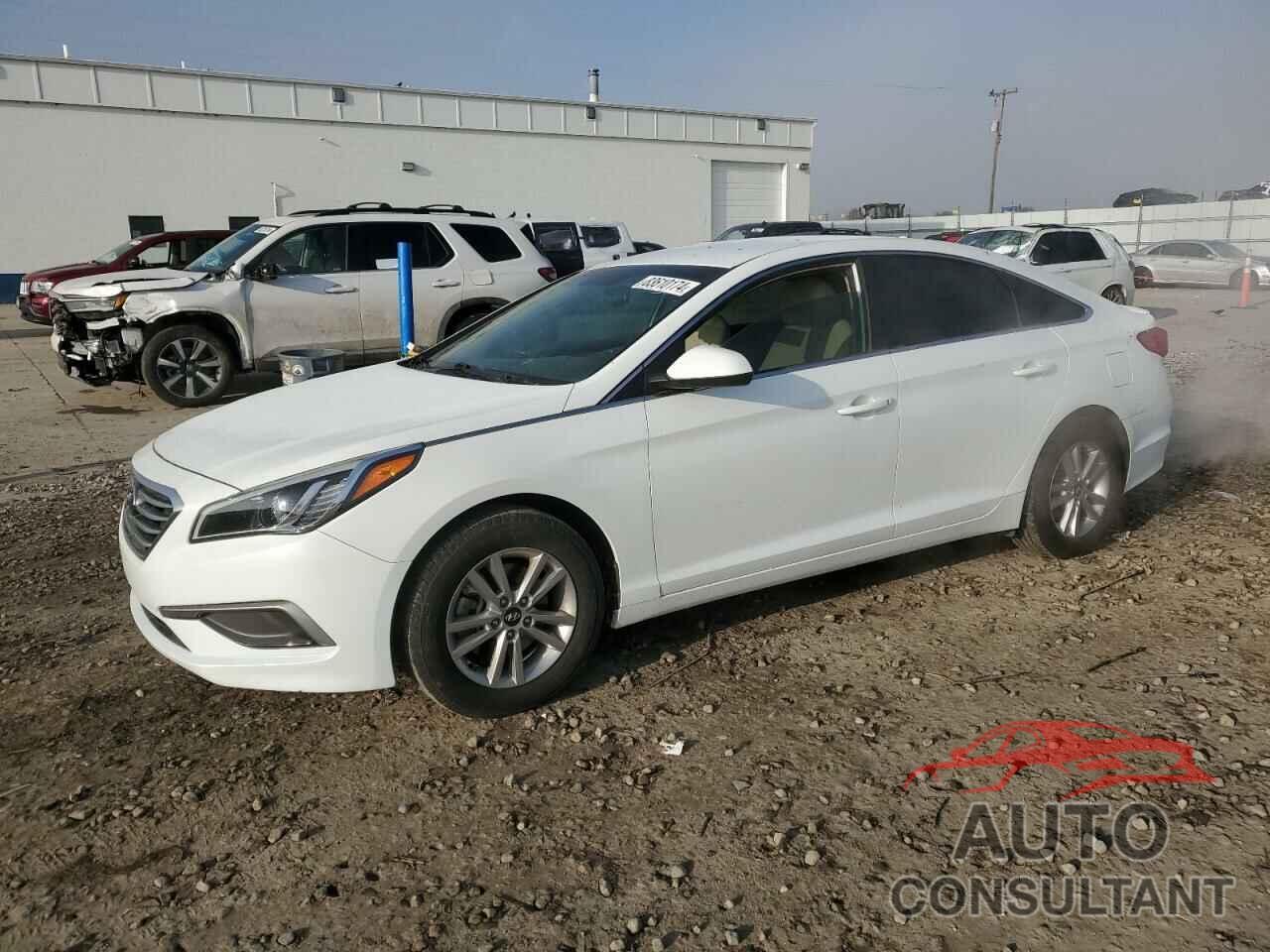HYUNDAI SONATA 2016 - 5NPE24AF9GH323311