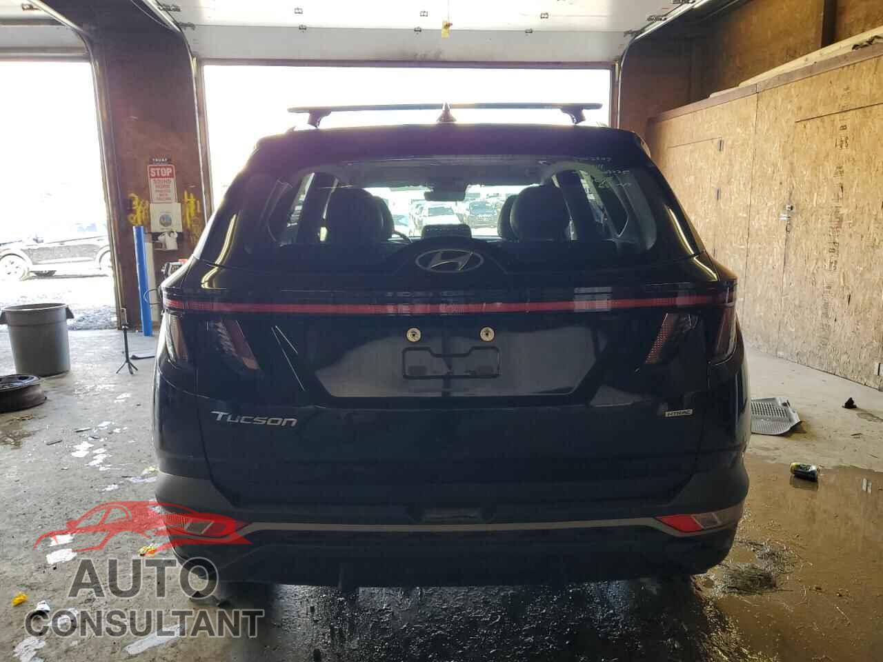 HYUNDAI TUCSON 2024 - 5NMJFCDE6RH347310