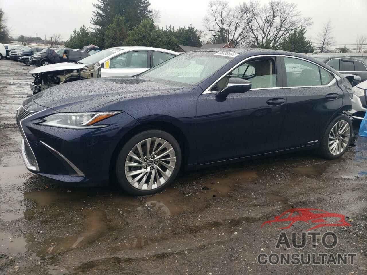 LEXUS ES300 2021 - 58AEA1C17MU007687