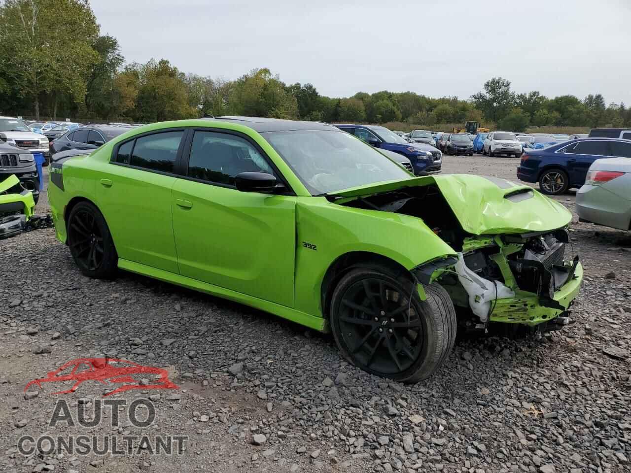 DODGE CHARGER 2023 - 2C3CDXGJ9PH607985