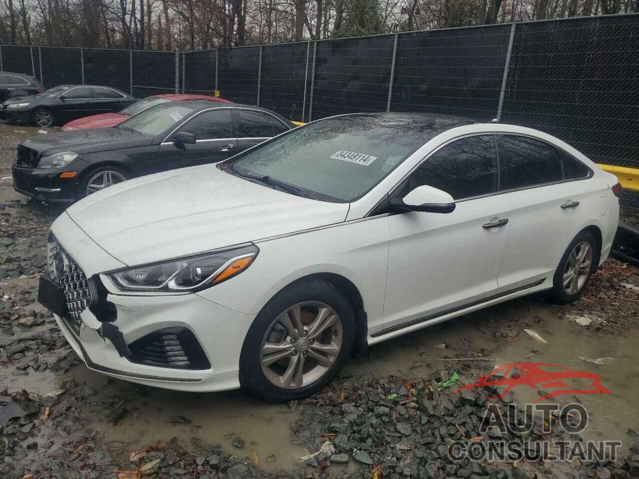 HYUNDAI SONATA 2019 - 5NPE34AF1KH778398