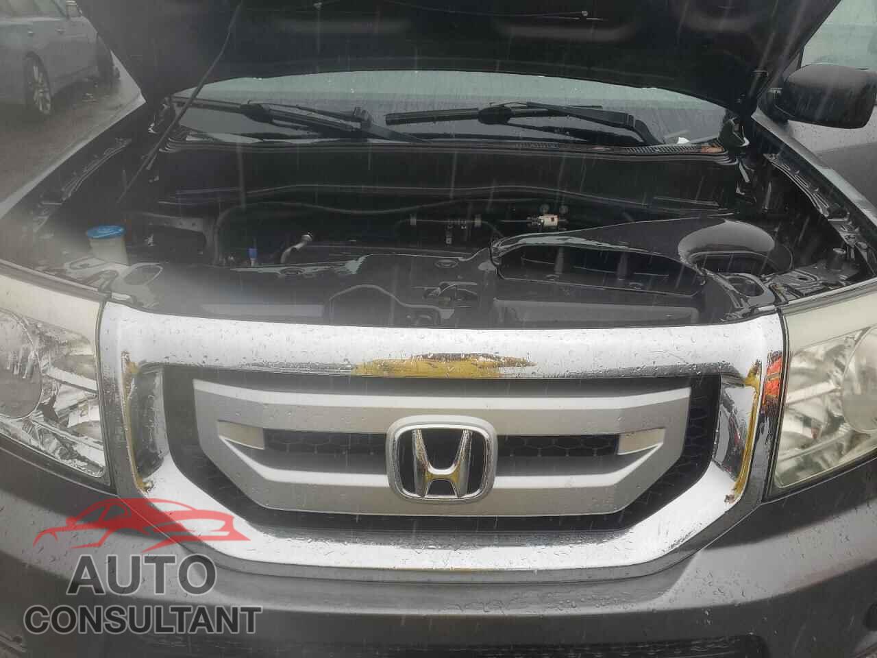 HONDA PILOT 2011 - 5FNYF3H28BB046804