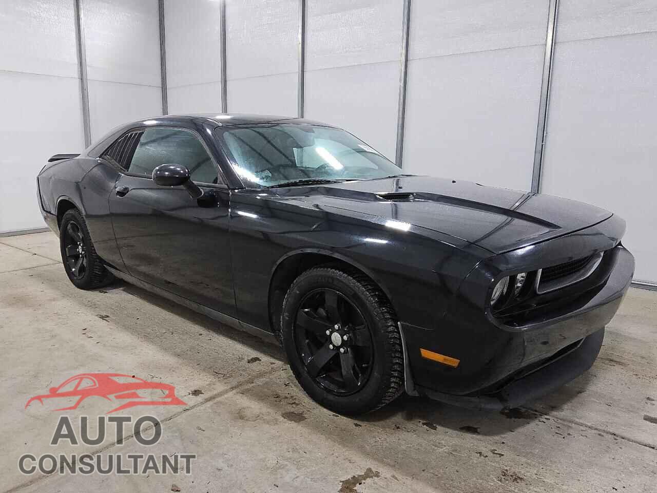 DODGE CHALLENGER 2013 - 2C3CDYAGXDH524175