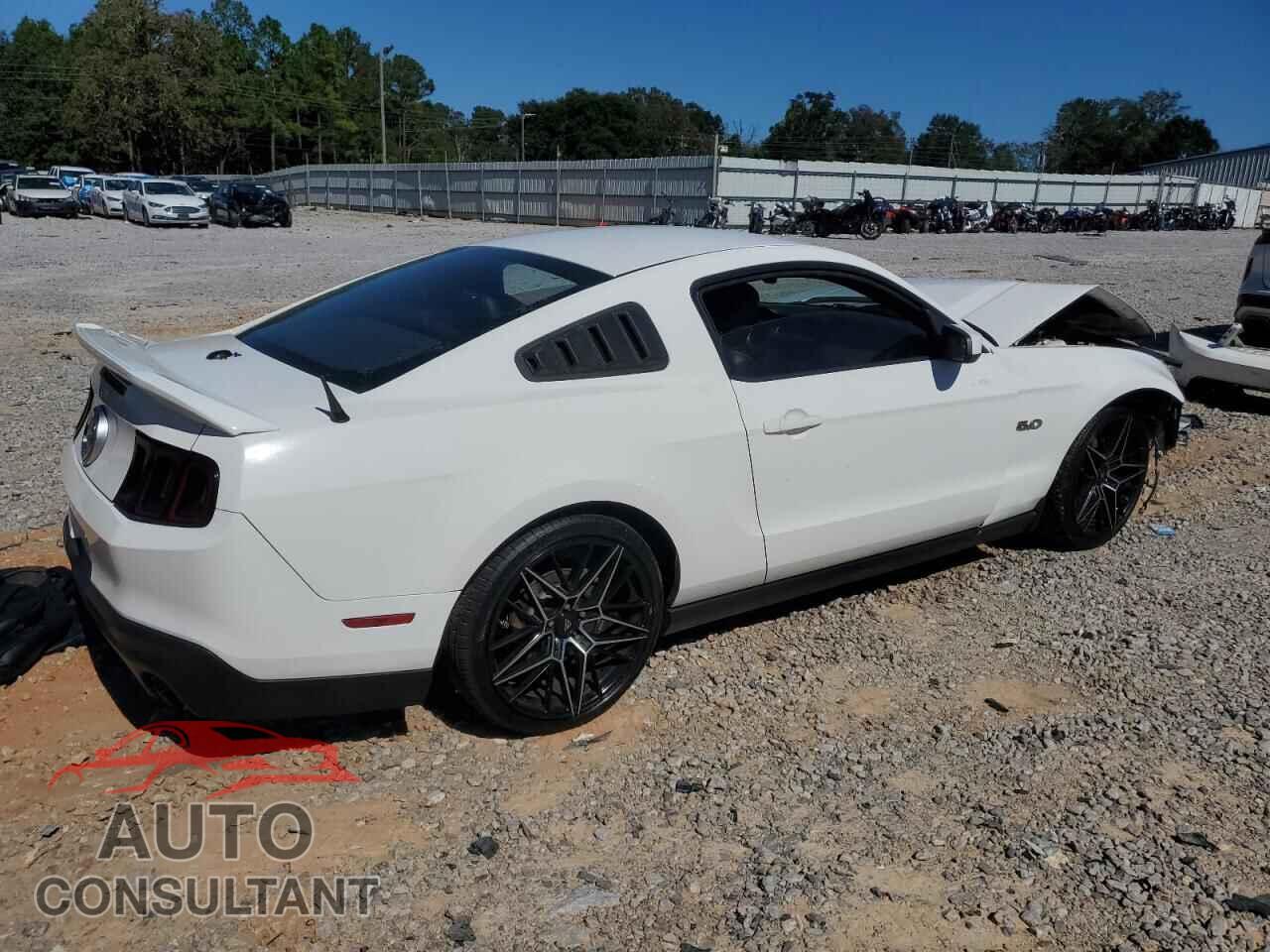 FORD MUSTANG 2011 - 1ZVBP8CF2B5125331