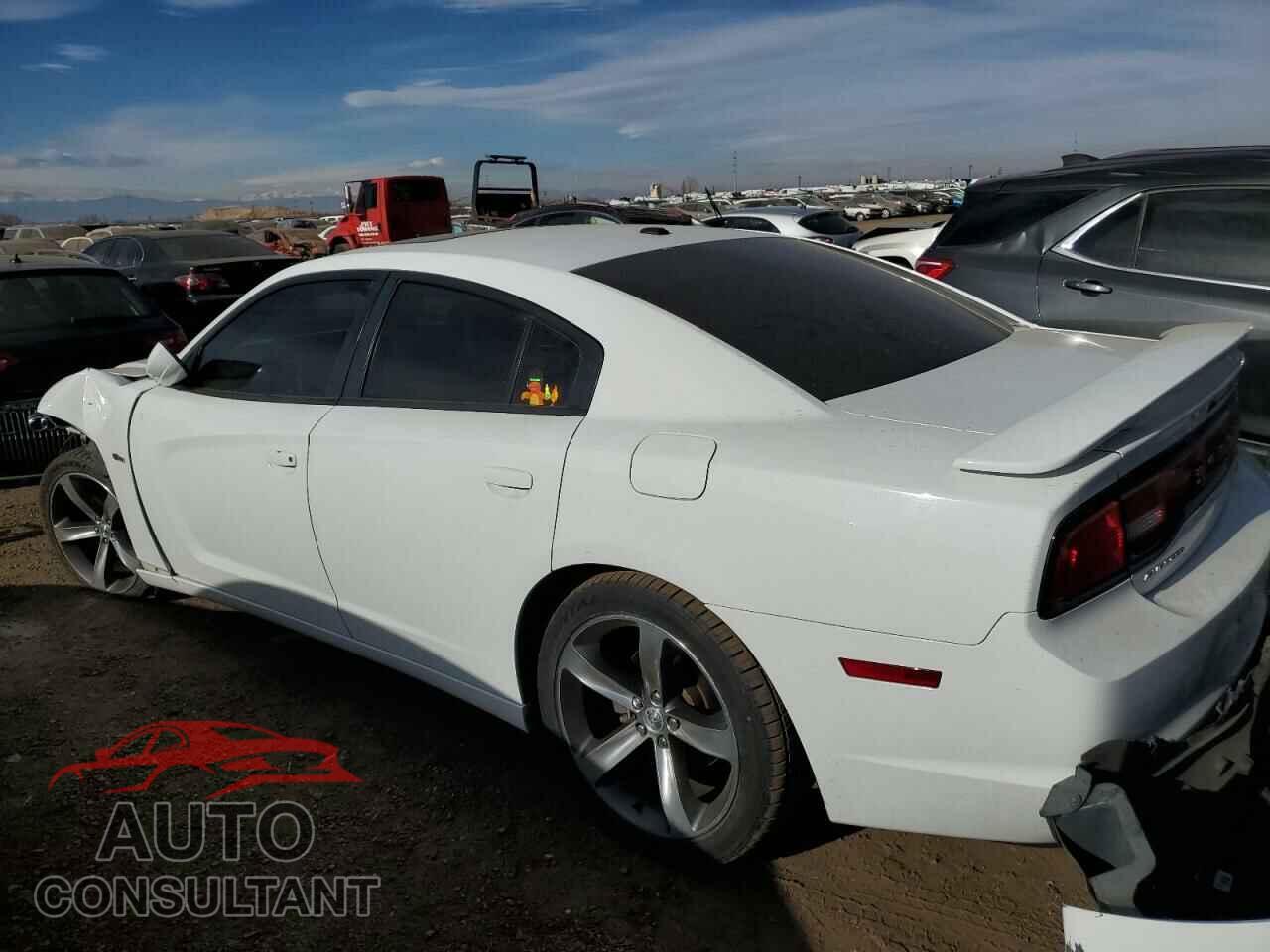 DODGE CHARGER 2014 - 2C3CDXCTXEH309191